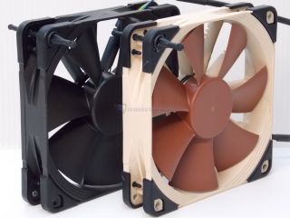 NOCTUA chromax 00055