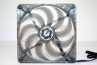 BTFX 140 00007